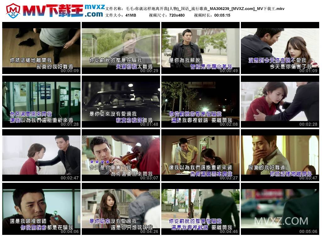 毛毛-你就这样地离开我(人物)_国语_流行歌曲_MA306239